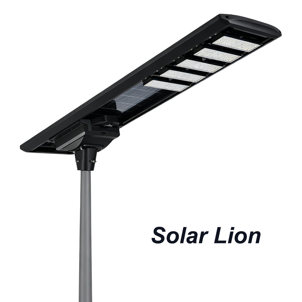 4322a361750ff9ee36678e8064d546e2.jpg lion 80W.jpg